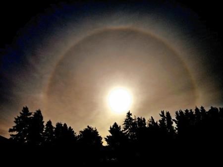 Another young sun rising over Dalfaber, Aviemore (David MacLeod)