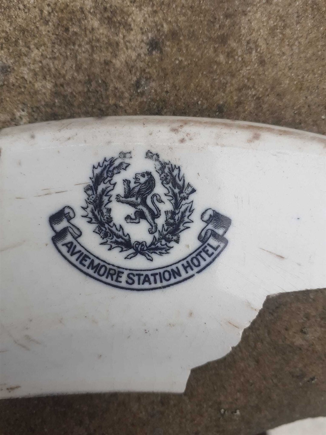 Vivid livery: the stamp still so clear on the piece of plate found in an Aviemore car park this week