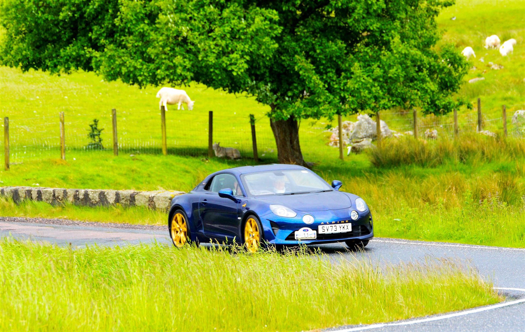 John & Ann Dalgetty (Tore) / 2024 Alpine A110 GT at Strathnairn. Picture: Richard Cliff