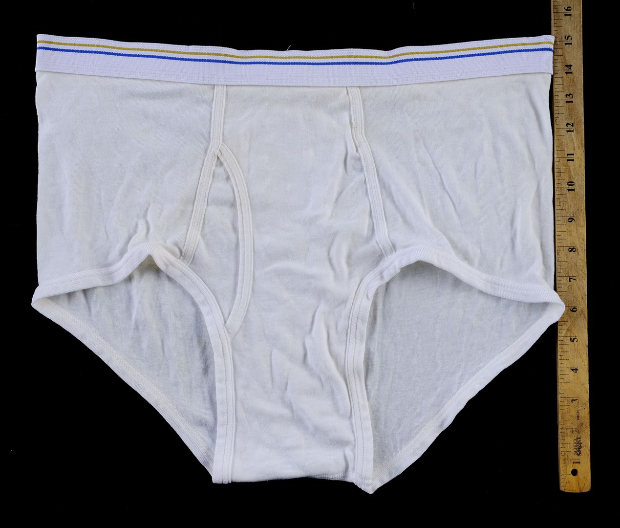A pair of underwear worn by Bryan Cranston is part of the online auction (Propstore/PA)