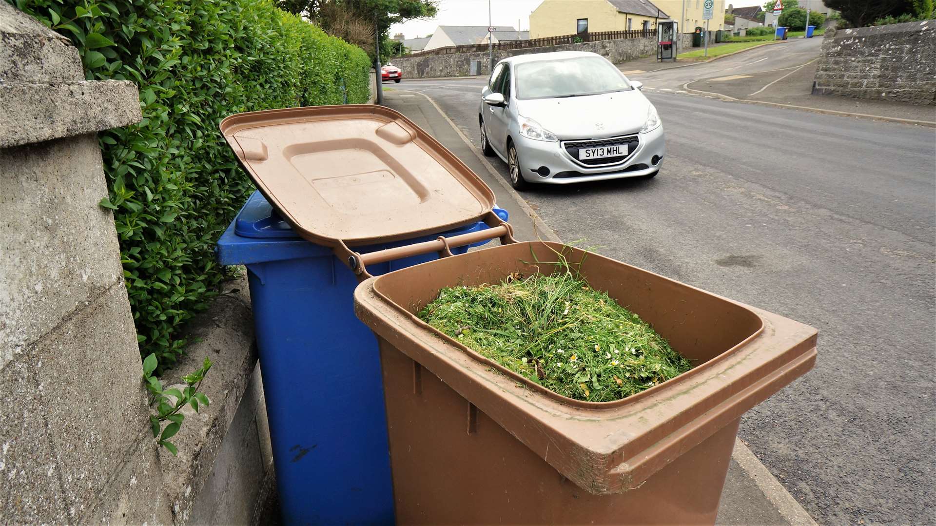 Garden waste permits have increased by three per cent. Picture: DGS