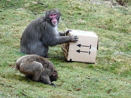What's in the box?
