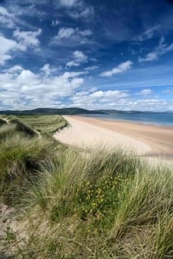 The beach at Coul Links
