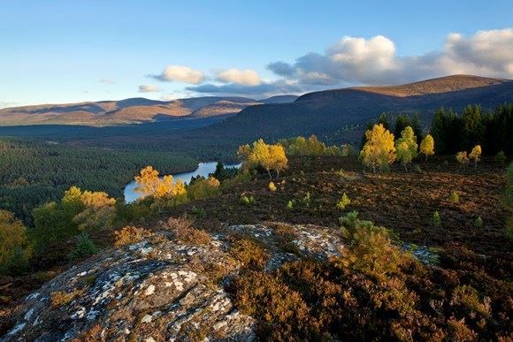 MSPs have voted on the tourist tax.