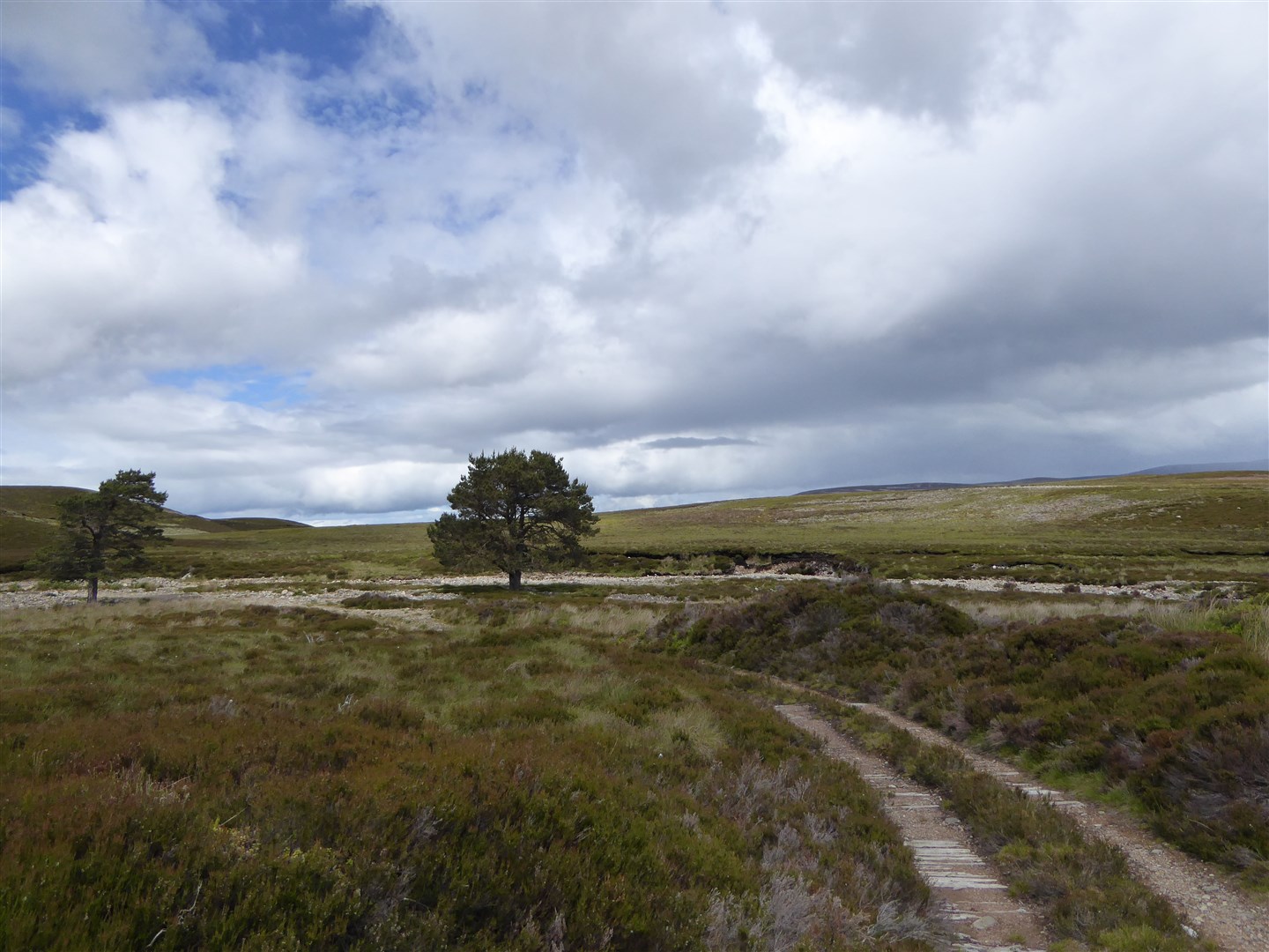 Oxygen Conservation says: “Our business model is to deliver a range of natural capital products and services to allow nature to pay to protect and improve itself’. Picture: Geograph Britain and Ireland/Alan O’Dowd.