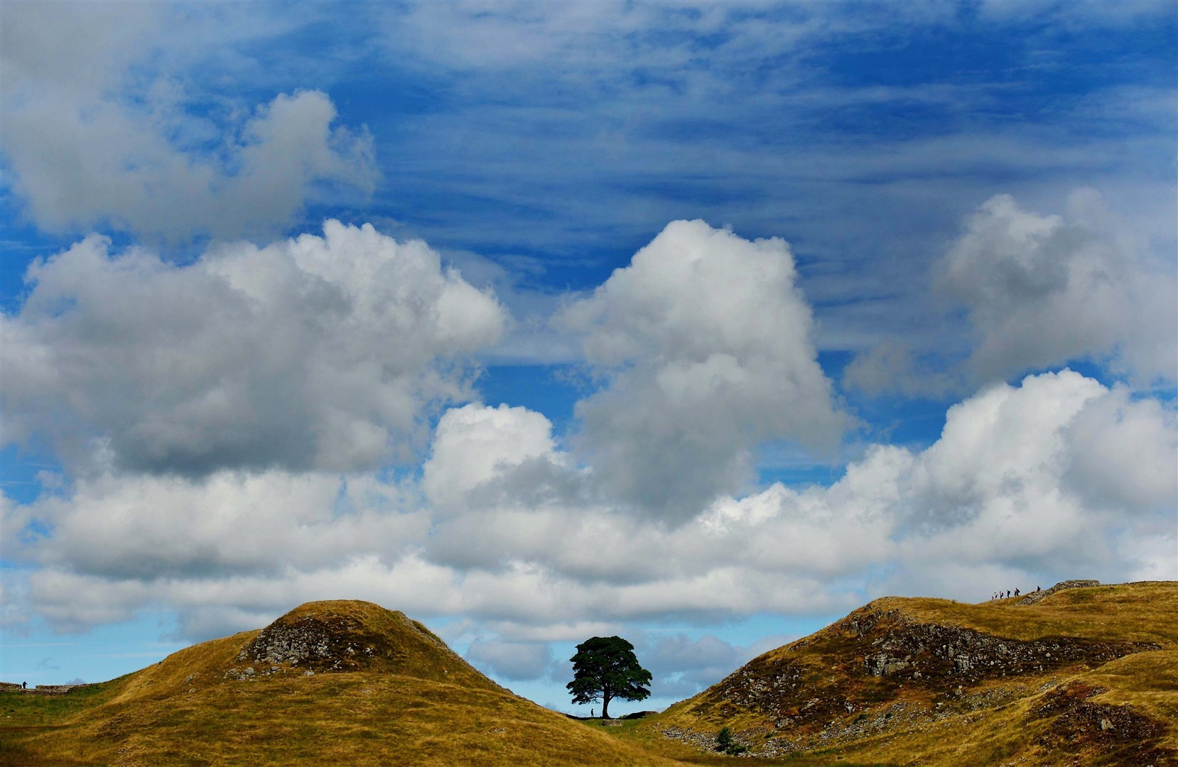 The famous sycamore tree was cut down in 2023 (Owen Humphreys/PA)