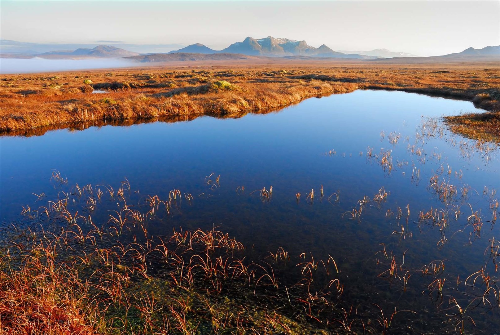 The Flow Country has been successful in its bid for World Heritage Site status. Picture: James Carter
