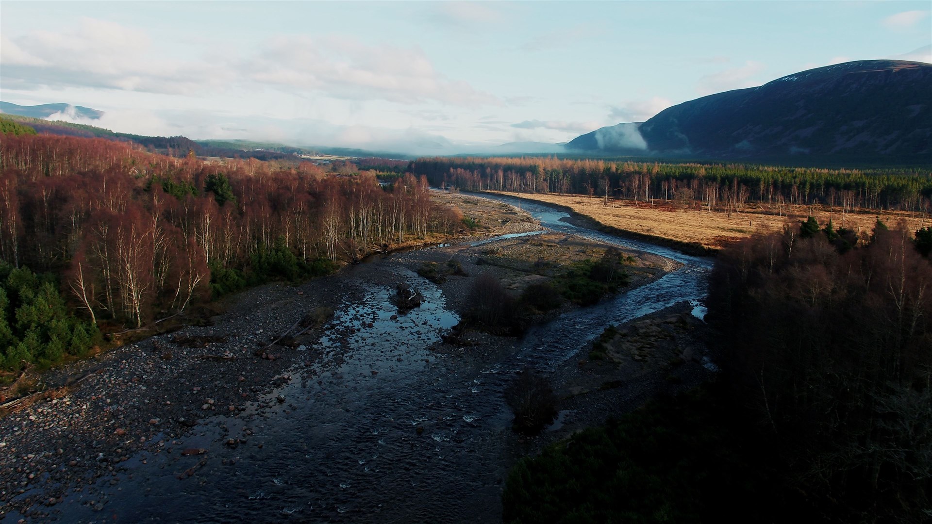 My heart's in the Highlands chasing the deer: Glenfeshie, land of the Monarch