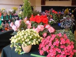 Loth and Helmsdale Flower Show have been awarded a Lottery grant.