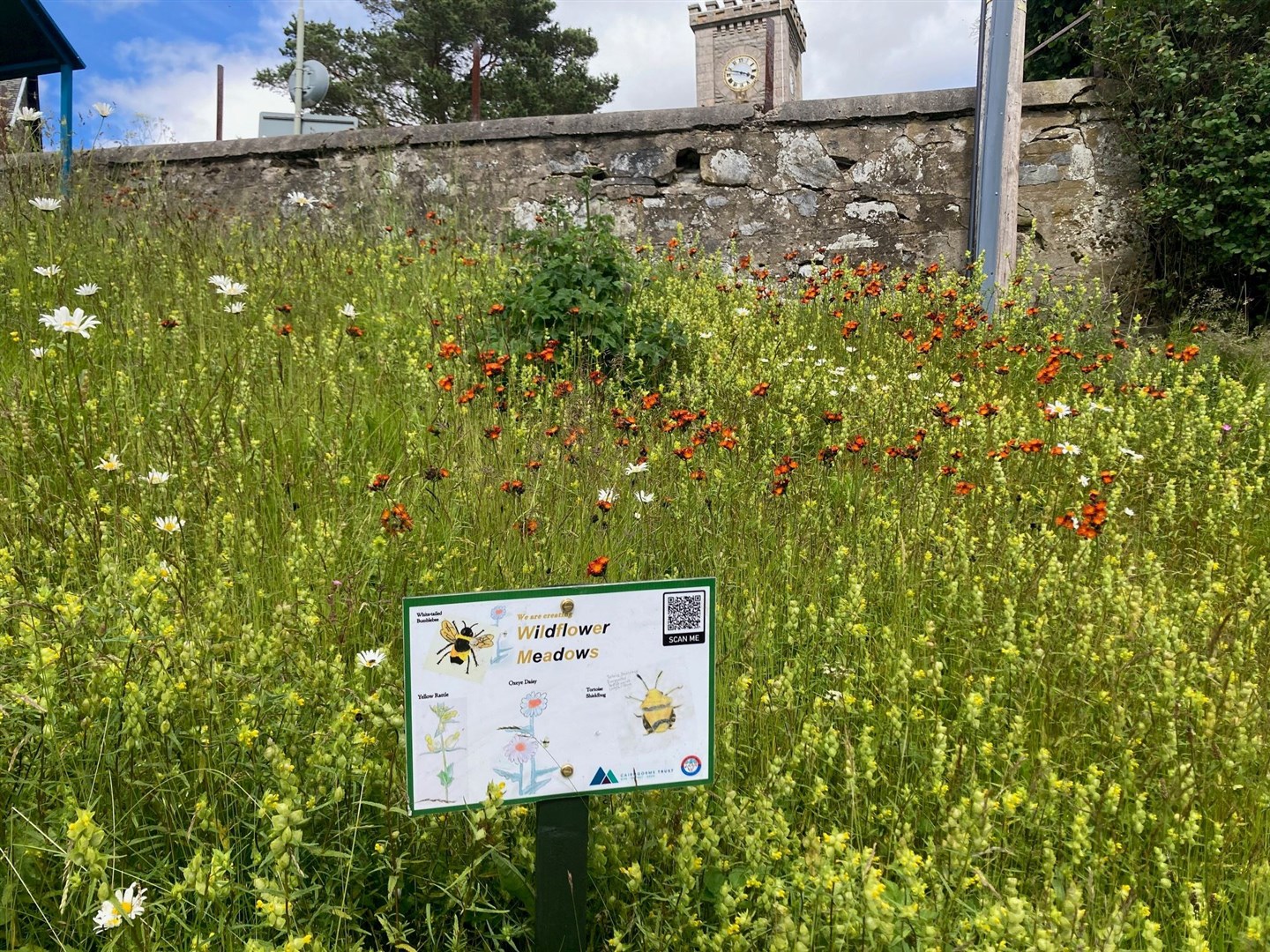 Wildflowers by Kingussie's clock tower.