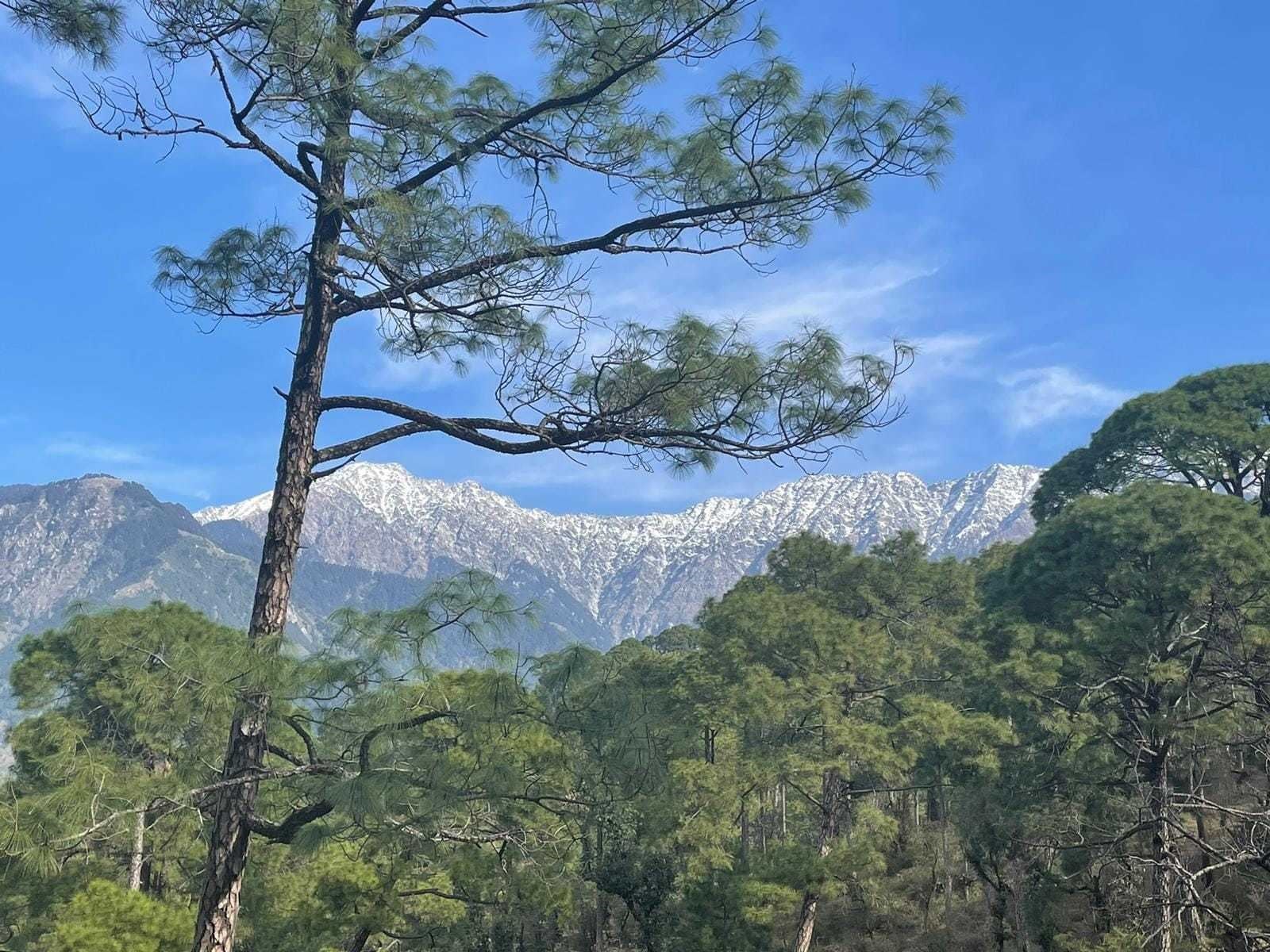 Scenes from day one of the intrepid group's stunning Himalayan adventure. Pictures: Highland Hospice.