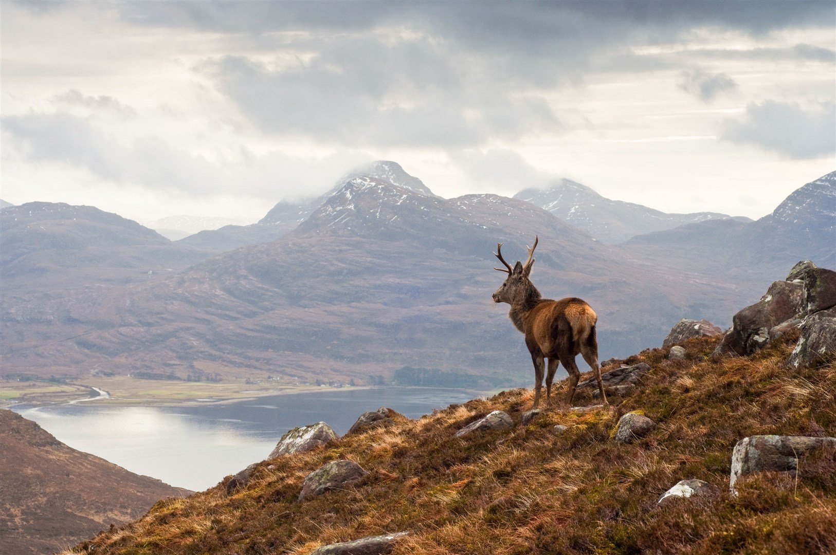 The tourist tax has received mixed responses.