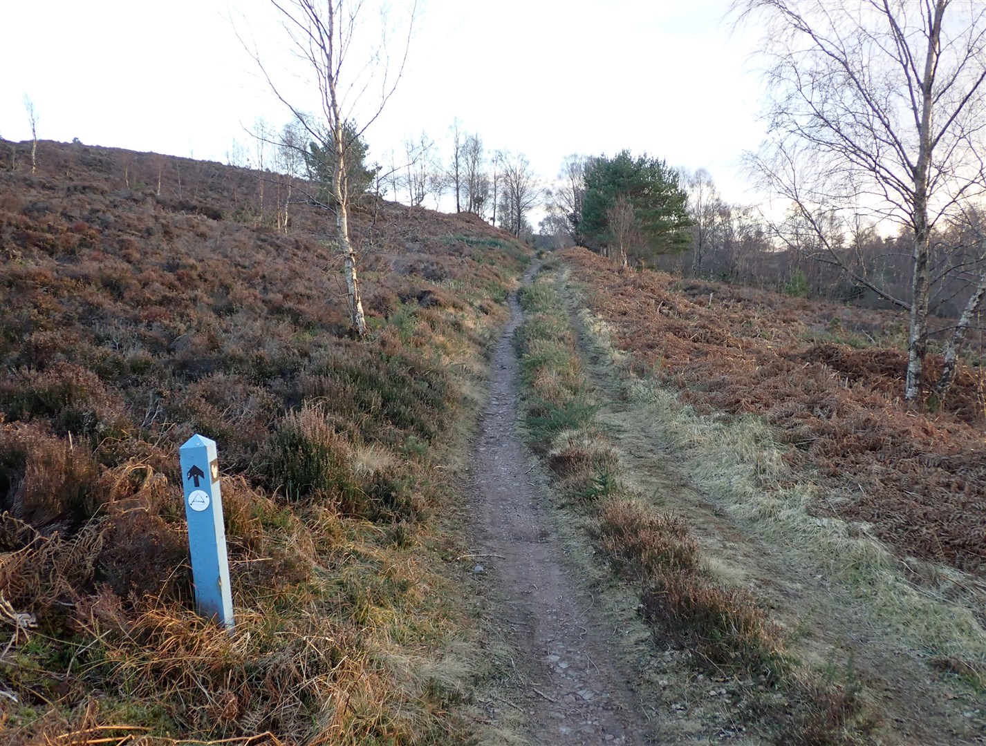 On the South Loch Ness Trail heading for Dores.