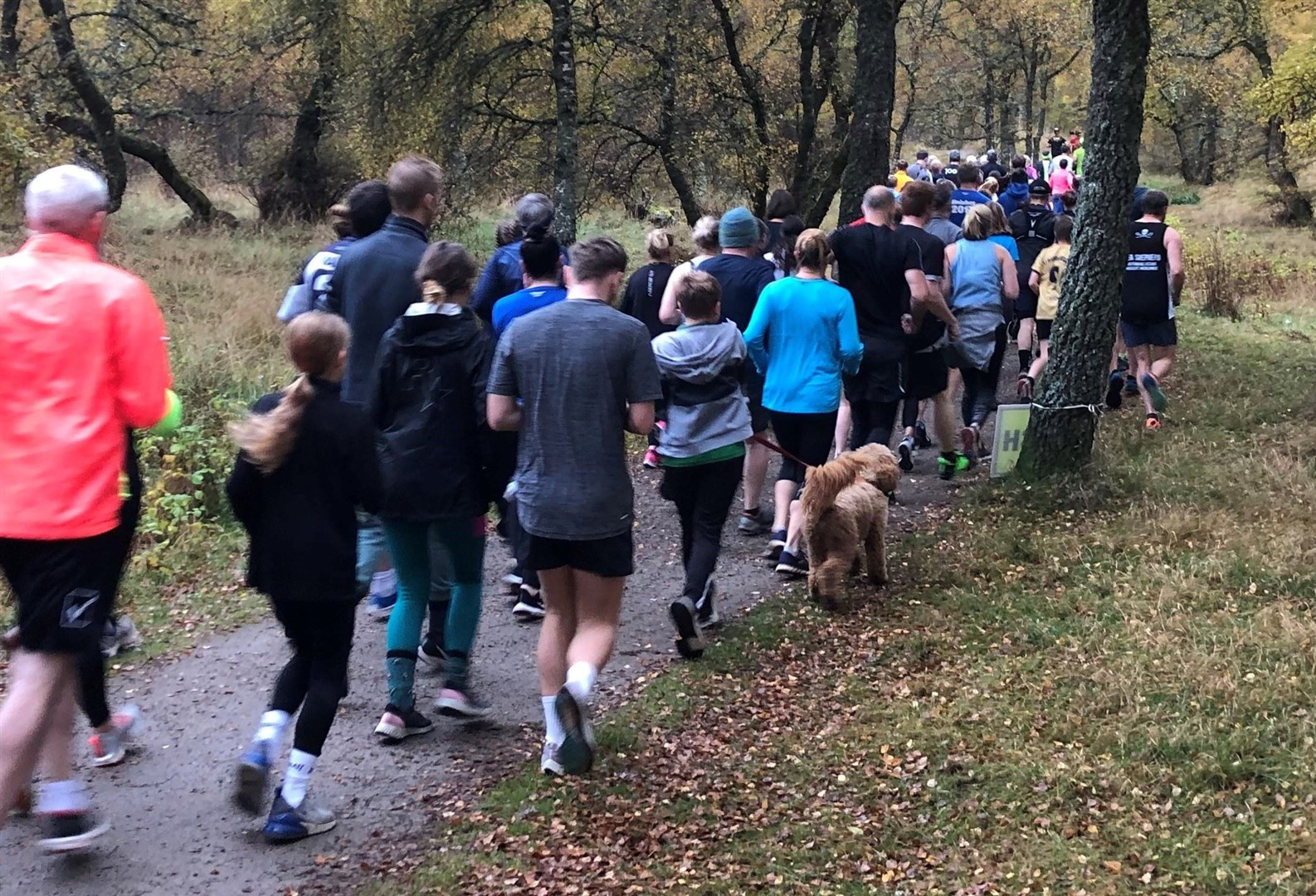 Run-running: Aviemore is a highly popular course (library pic)