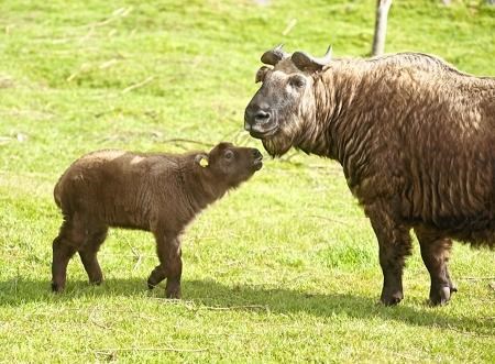 Hello mum!