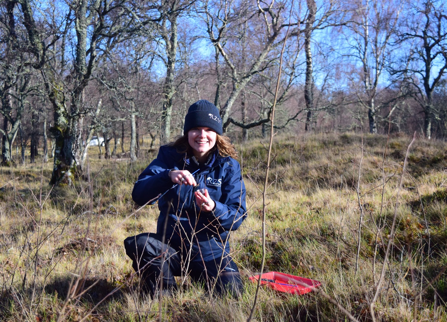 Field manager Georgina Lindsay is all smailes at the dark bordered beauty moth egg release. Picture: RZSS.