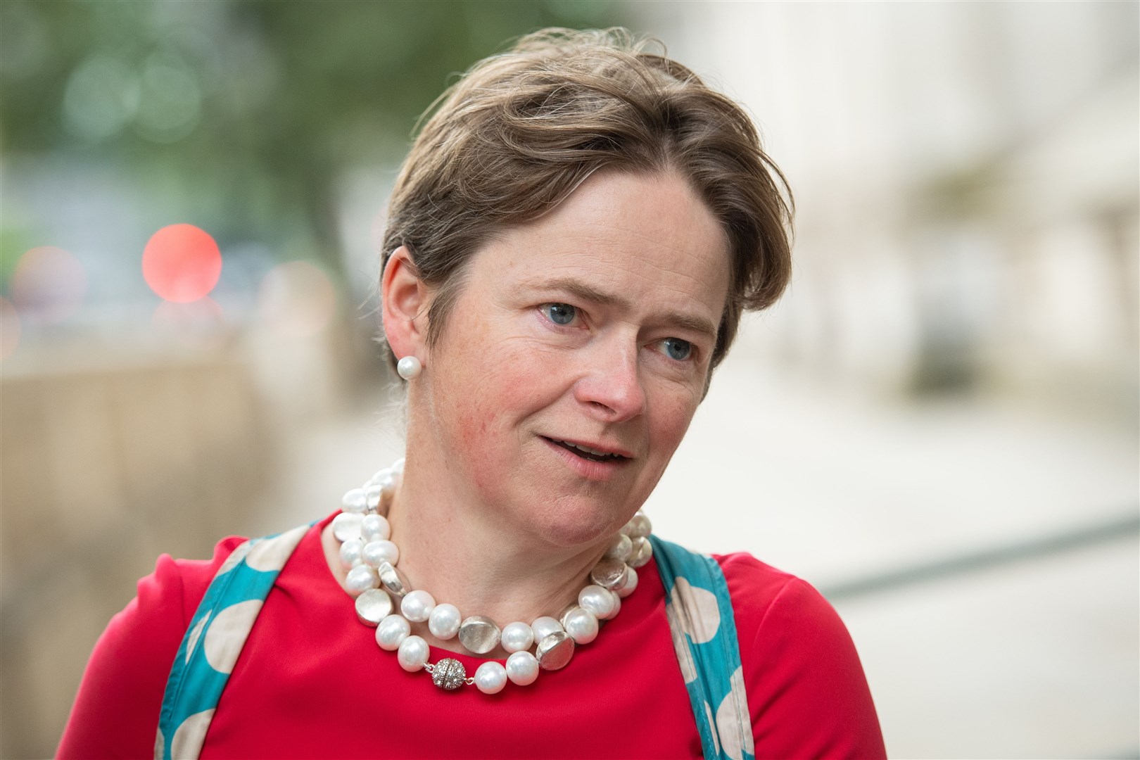 Baroness Harding is facing calls to be replaced by a senior military figure (Dominic Lipinski/PA)