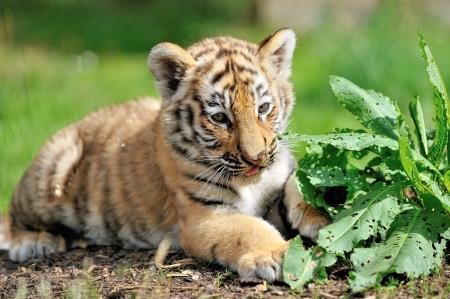 One of the new arrivals