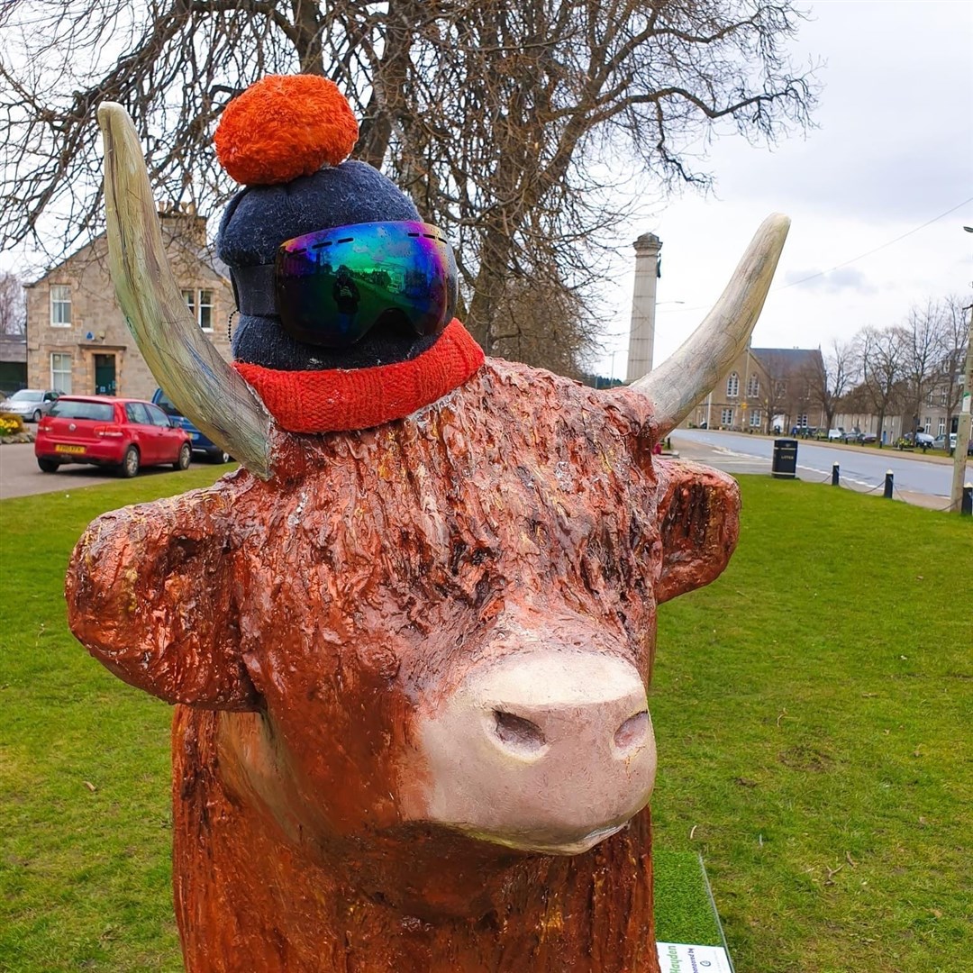 Whi-ski has been grazing in The Square in Grantown. Picture: Jane Candlish.