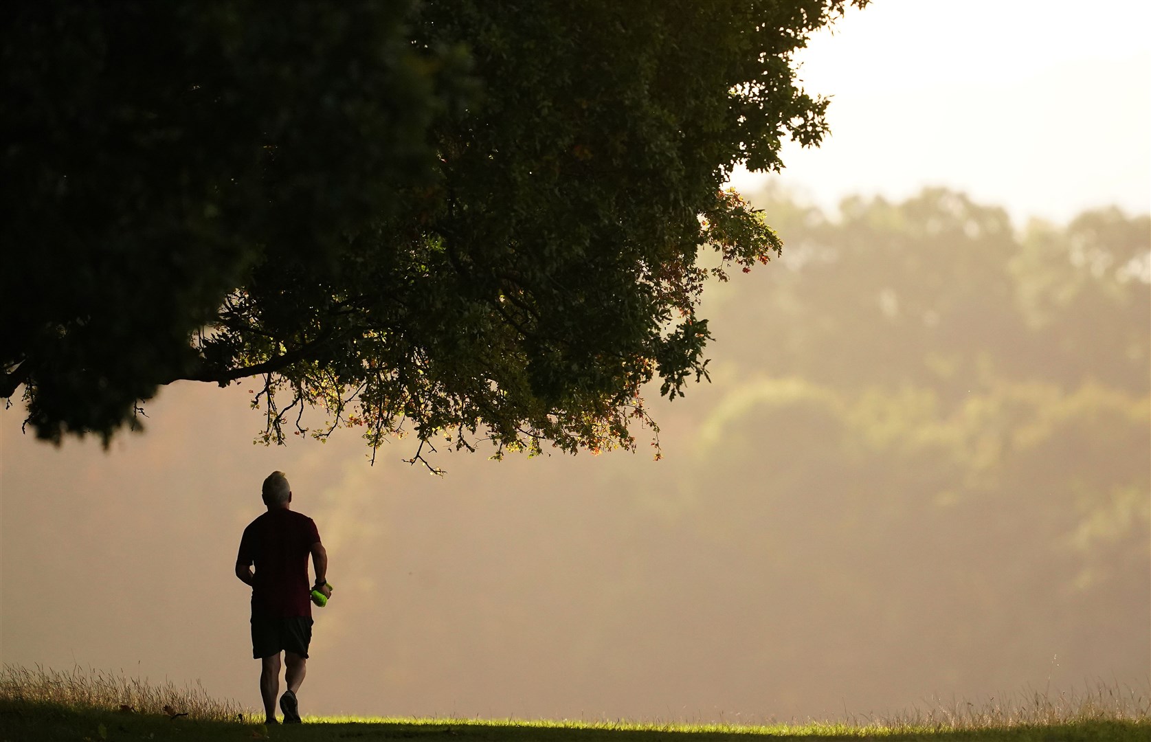 More and more people are able to track the number of steps they take each day, through a mobile phone, smart watch or similar device (PA)
