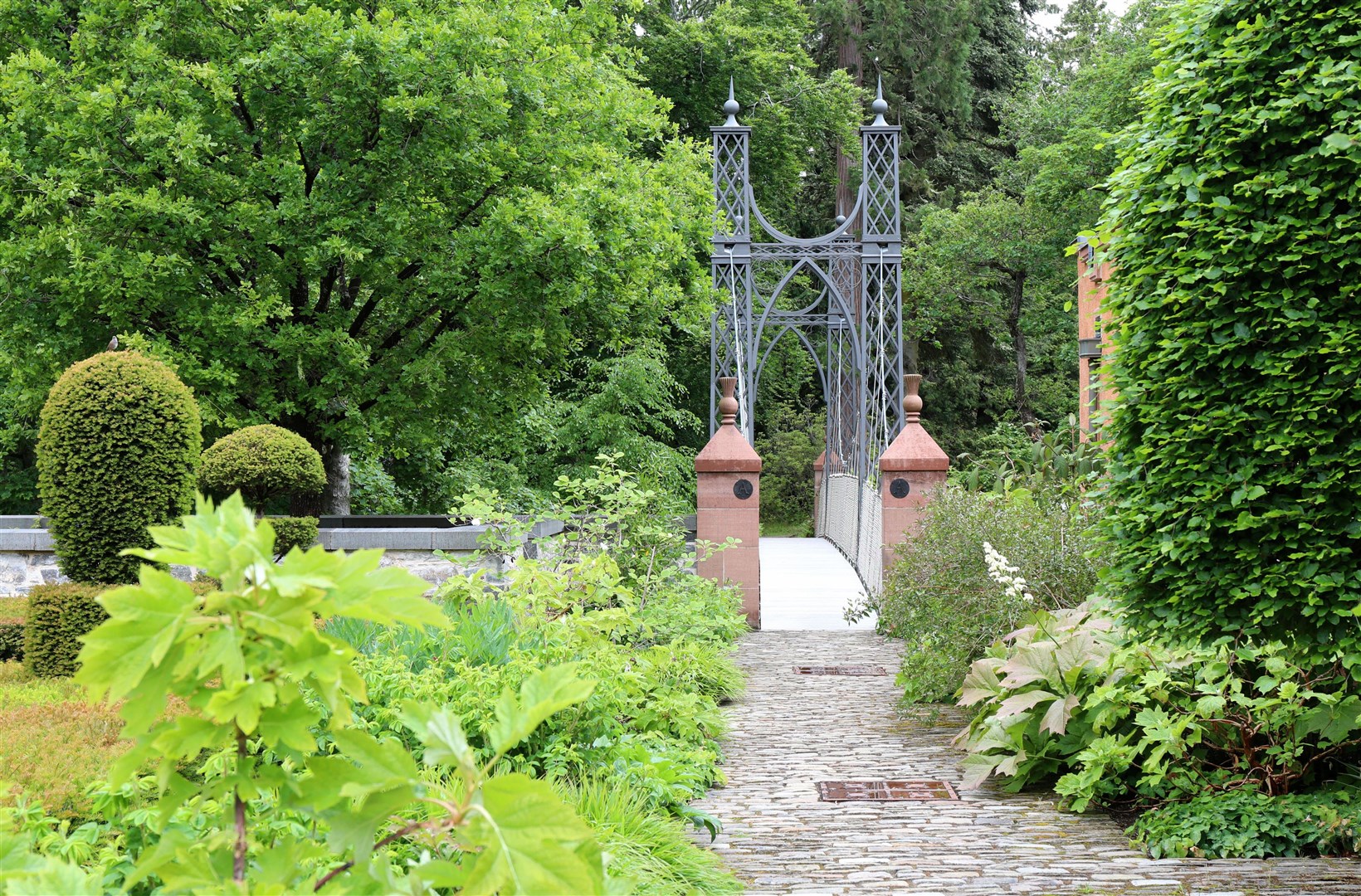 A suspension bridge links to the arboretum. Picture: Peter Jolly