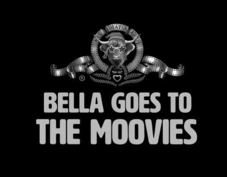The Bella Goes to the Moovies logo.
