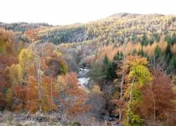 Scenic Rogie Falls near Garve. Pic by John Davidson