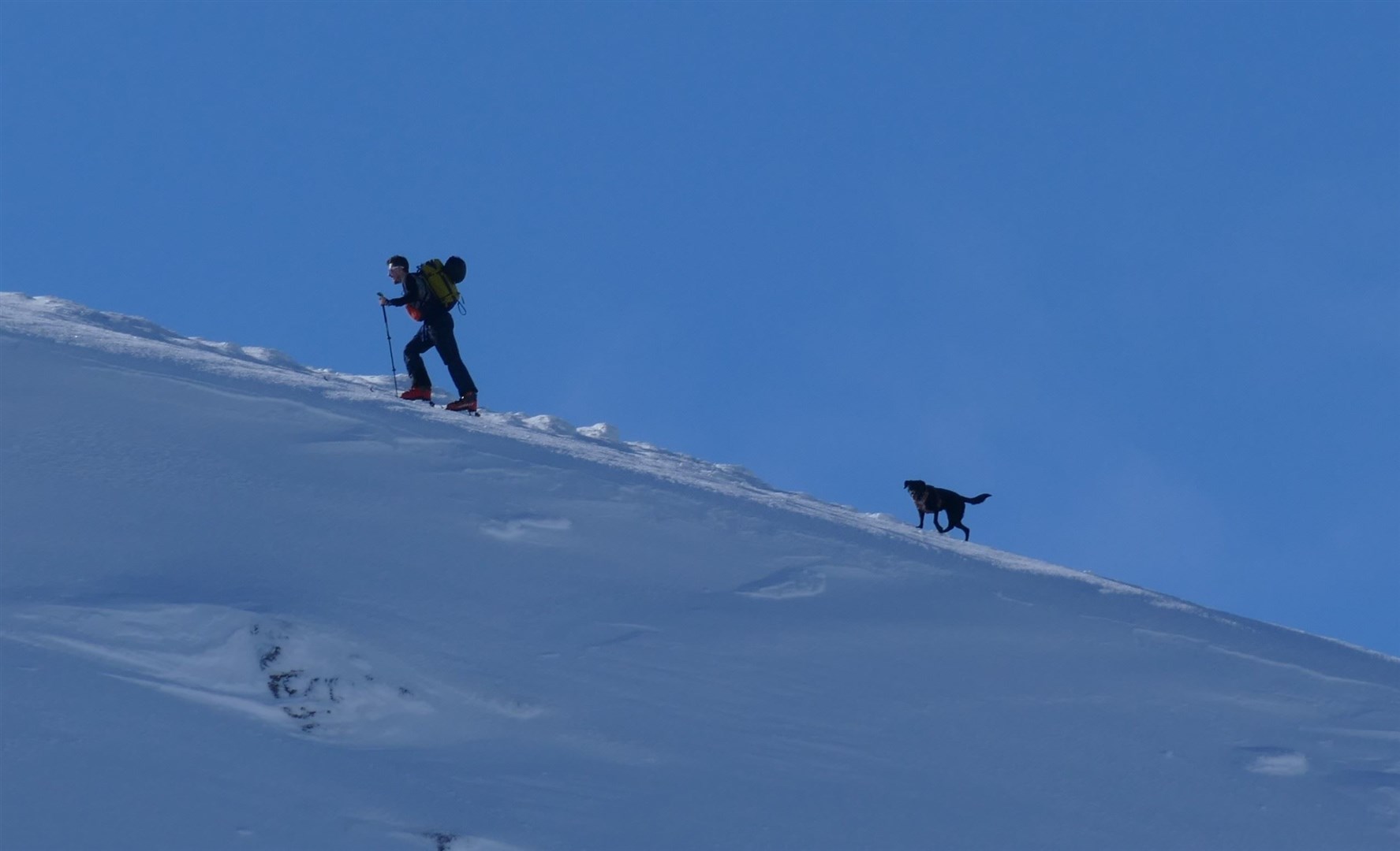 UPHILL ALL THE WAY: As these walkers on the Coire Cas headwall showed recently, dogged determination is required on the hill.