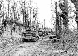 Infantry and bren carriers in Normandy.