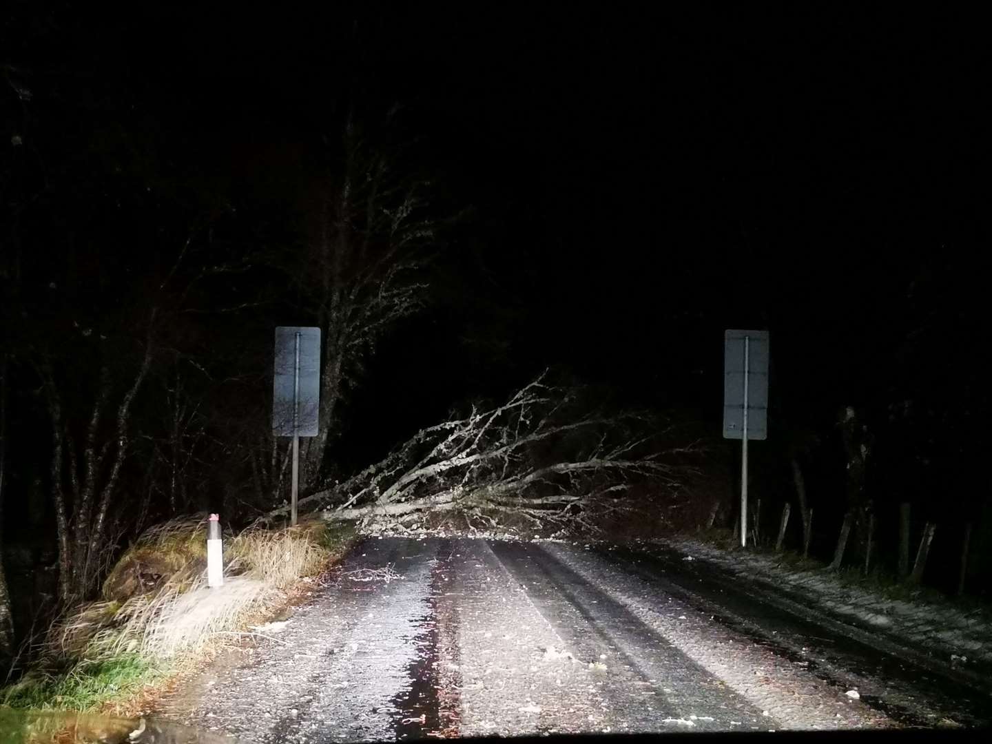 A tree blocking the back road between Boat of Garten and Nethy Bridge on Friday evening. Photo: Louise MacLennan.