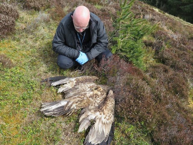 A police officer with the poisoned bird earlier this year