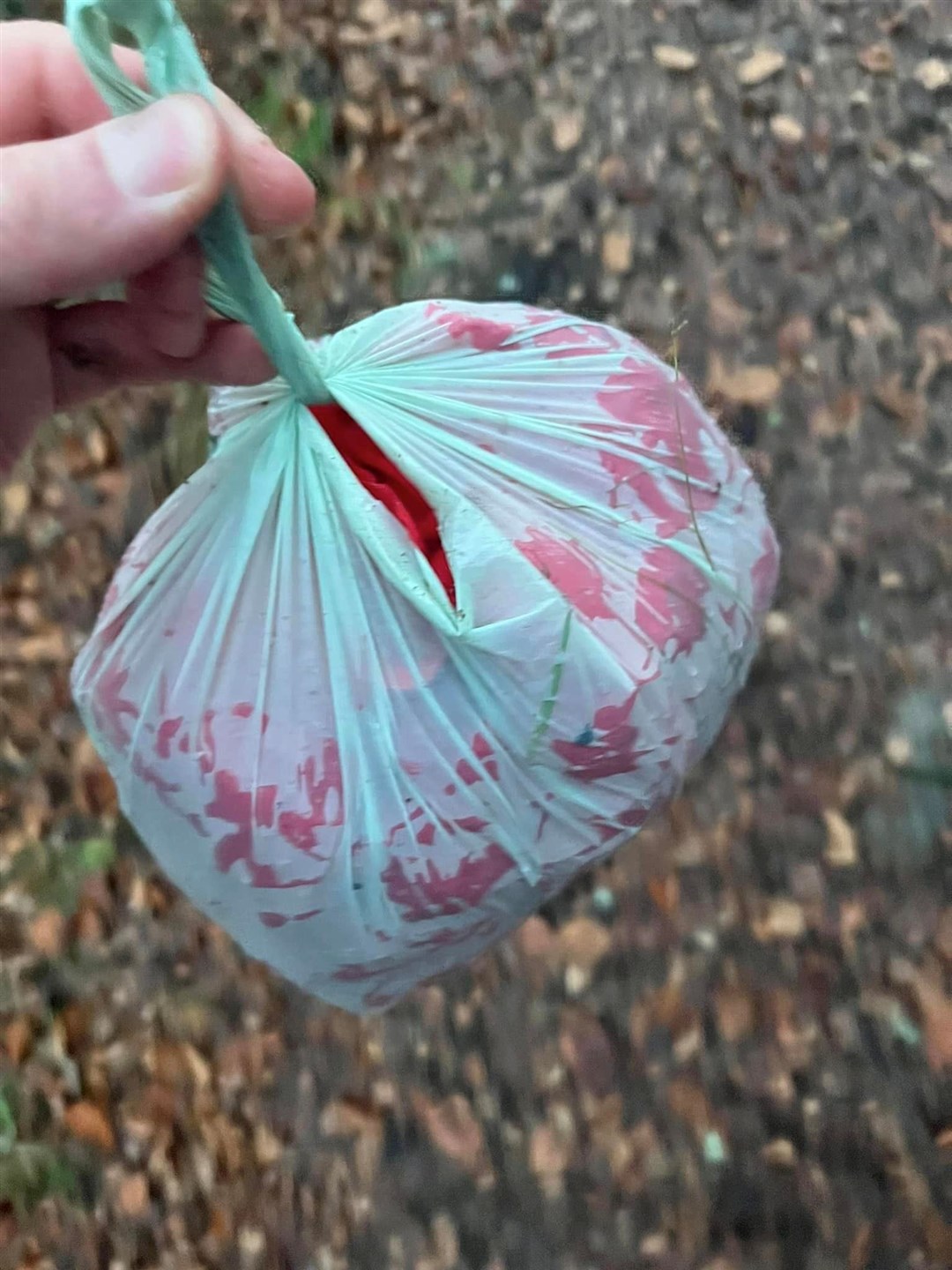 Thousands of the plastic petals have been scattered by the loch and need clearing.