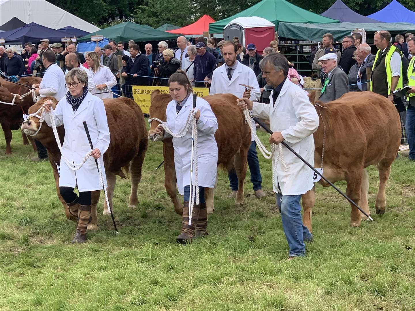 Michael Robertson (right) who farms at Fodderletter by Tomintoul in the parade ring in the Grantown Show in 2019.