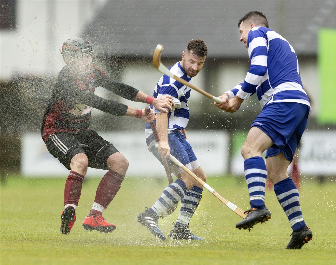 Renewing rivalries this weekend: Malcolm Clark (Oban) with Drew and Steven MacDonald (both Newtonmore) during last year's Tulloch Homes Camanachd Cup final played at An Aird, Fort William.