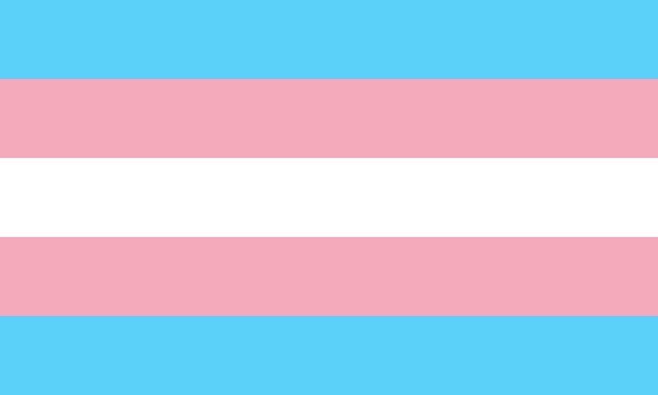 The pride flag representing trans people.
