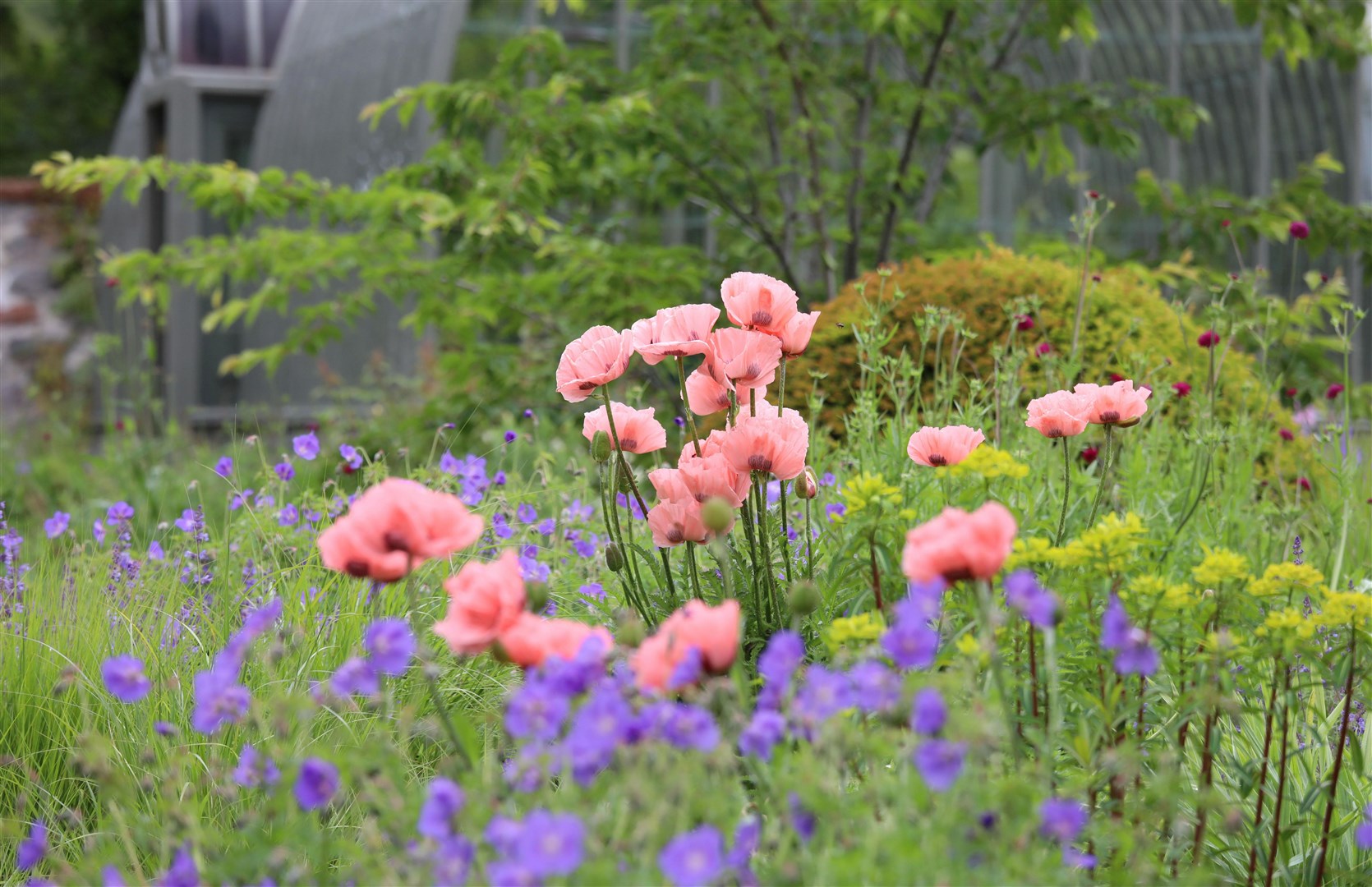 Extensive planting has taken place over the last seven years. Picture: Peter Jolly