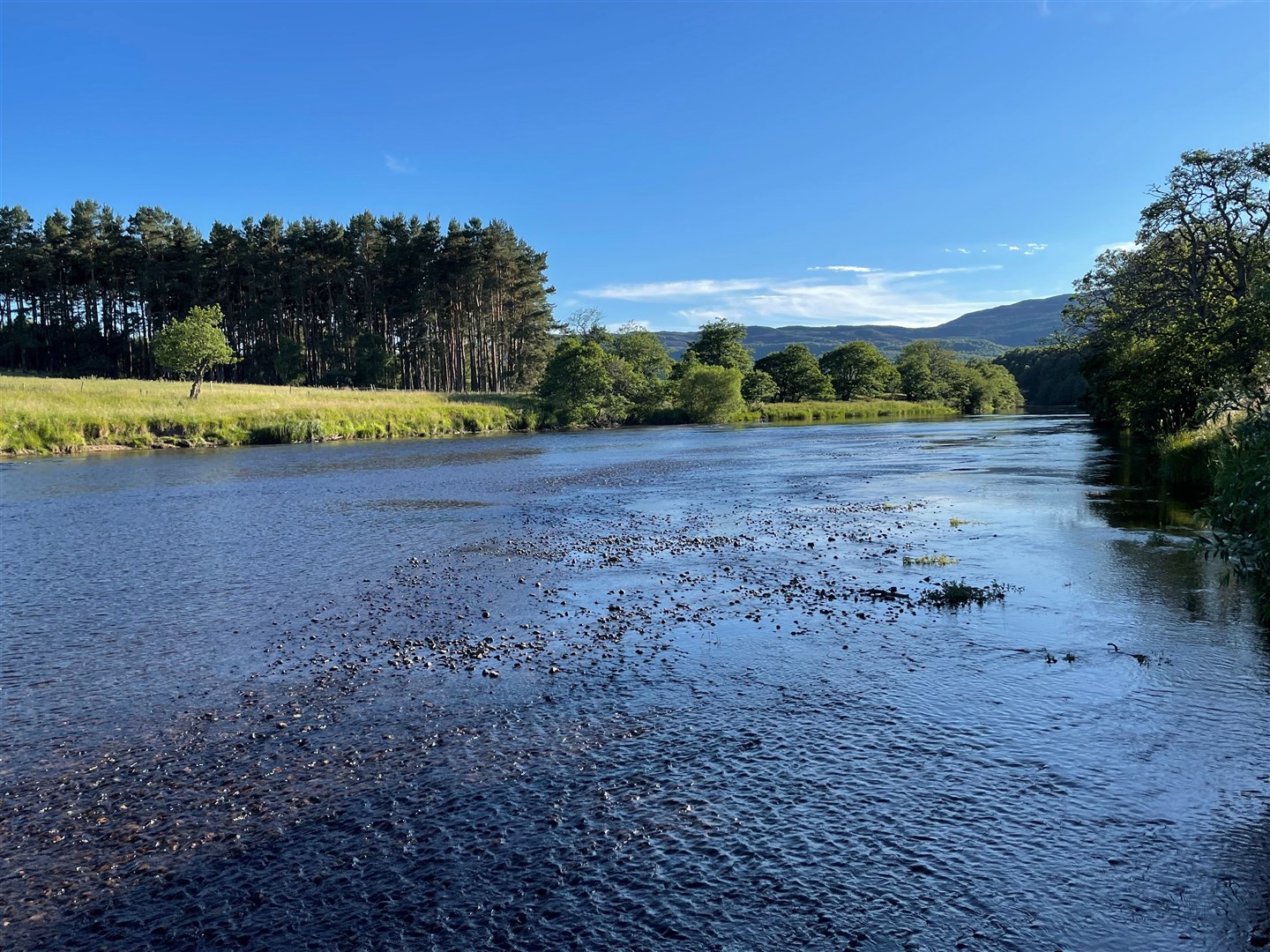 The River Spey north of Aviemore.