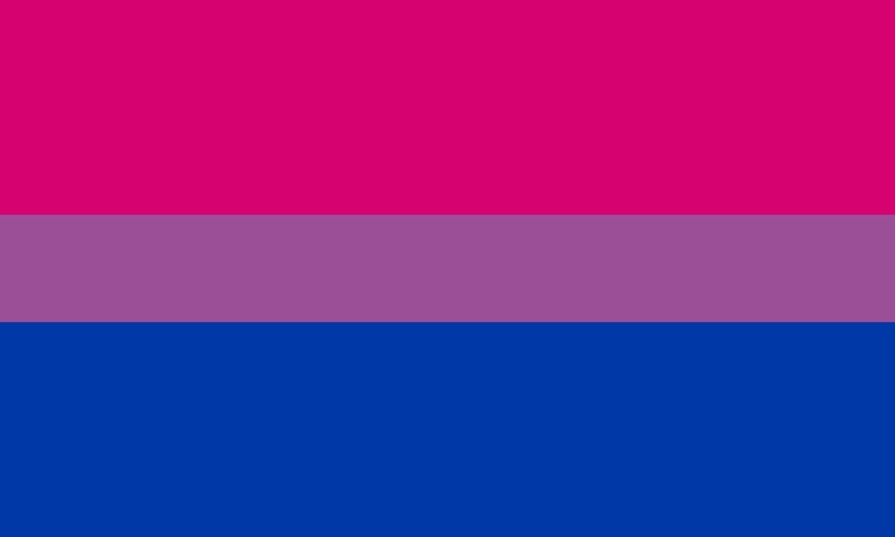 The pride flag representing bisexual people.