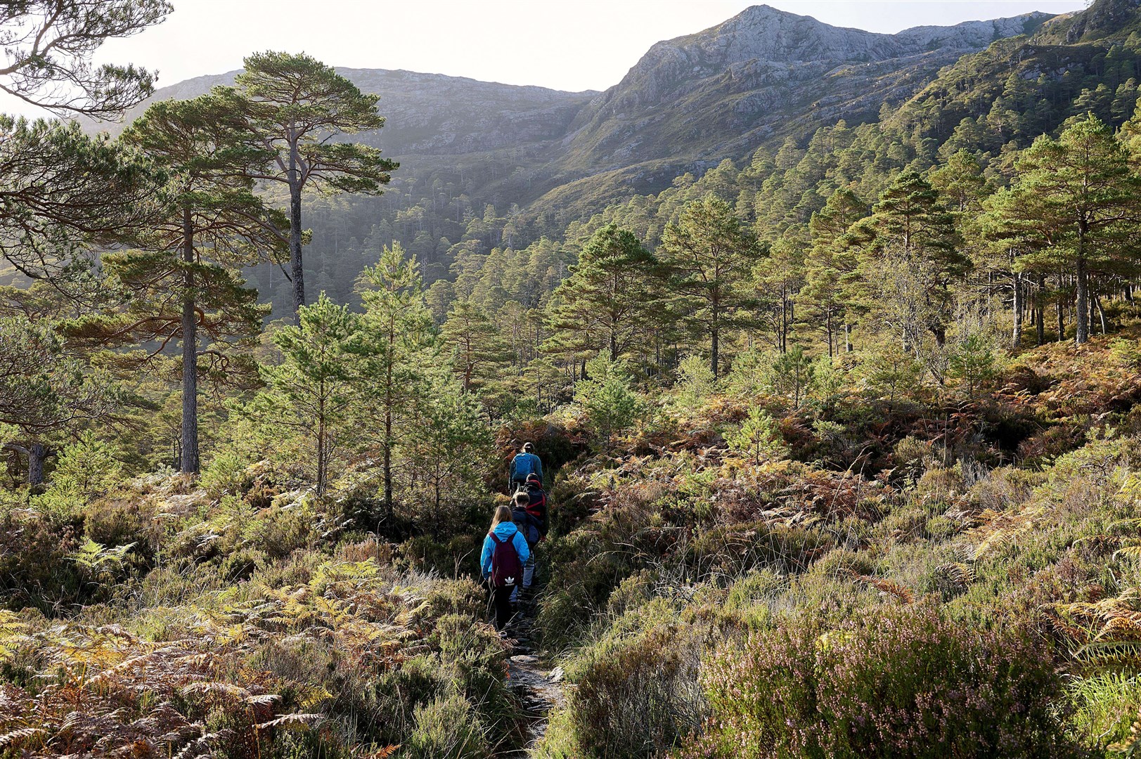 Heading for the Scottish Hills - walker on Beinn Eighe NNR. Photo: NatureScot
