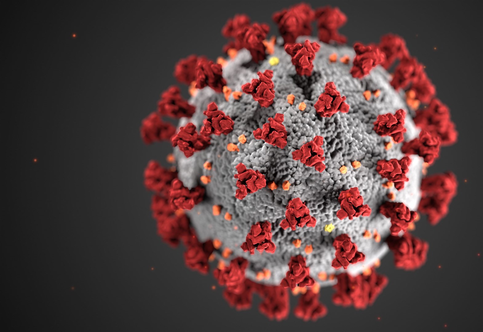 The number of confirmed coronavirus cases in the Highlands has increased.