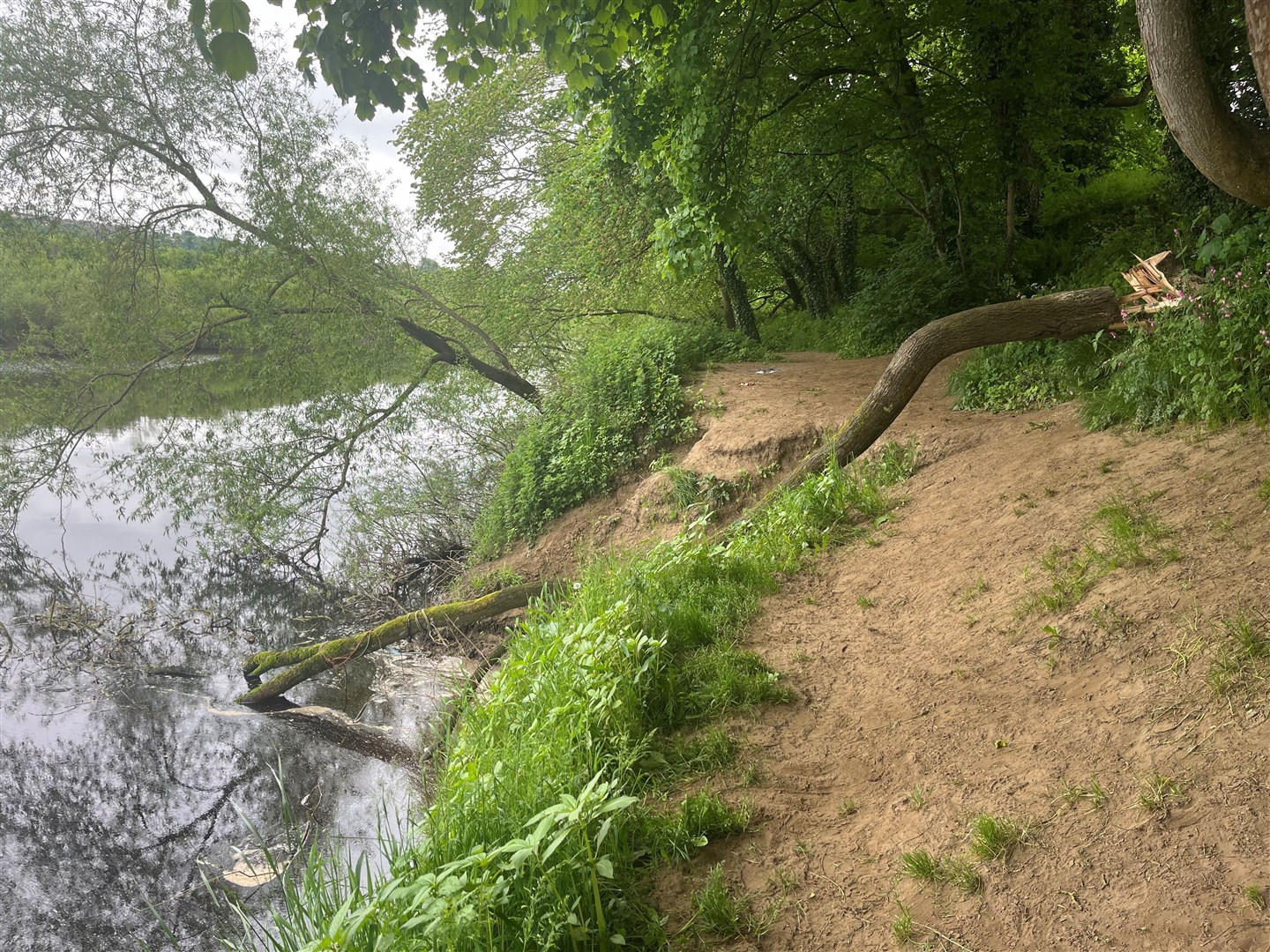 A tree which used to overhang the river has been cut down (Tom Wilkinson/PA)