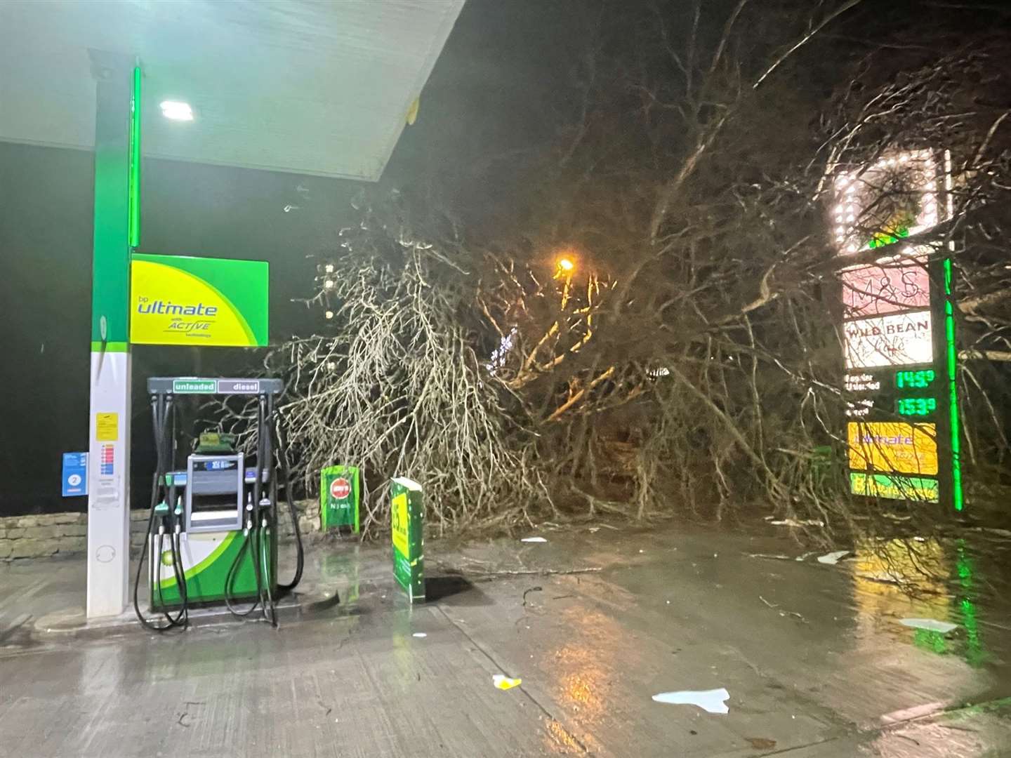 The entrance to the BP forecourt is completely blocked by the tree but the exit remains accessible.