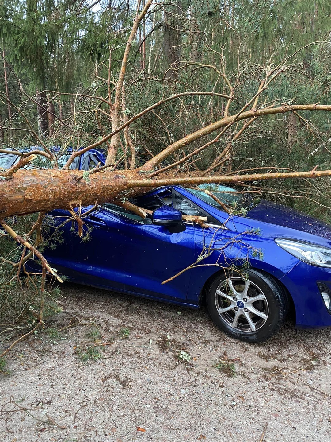 Badenoch: a parked car at Ardgeal stood no chance as many trees at the eco-housing developement were ripped up and blown over