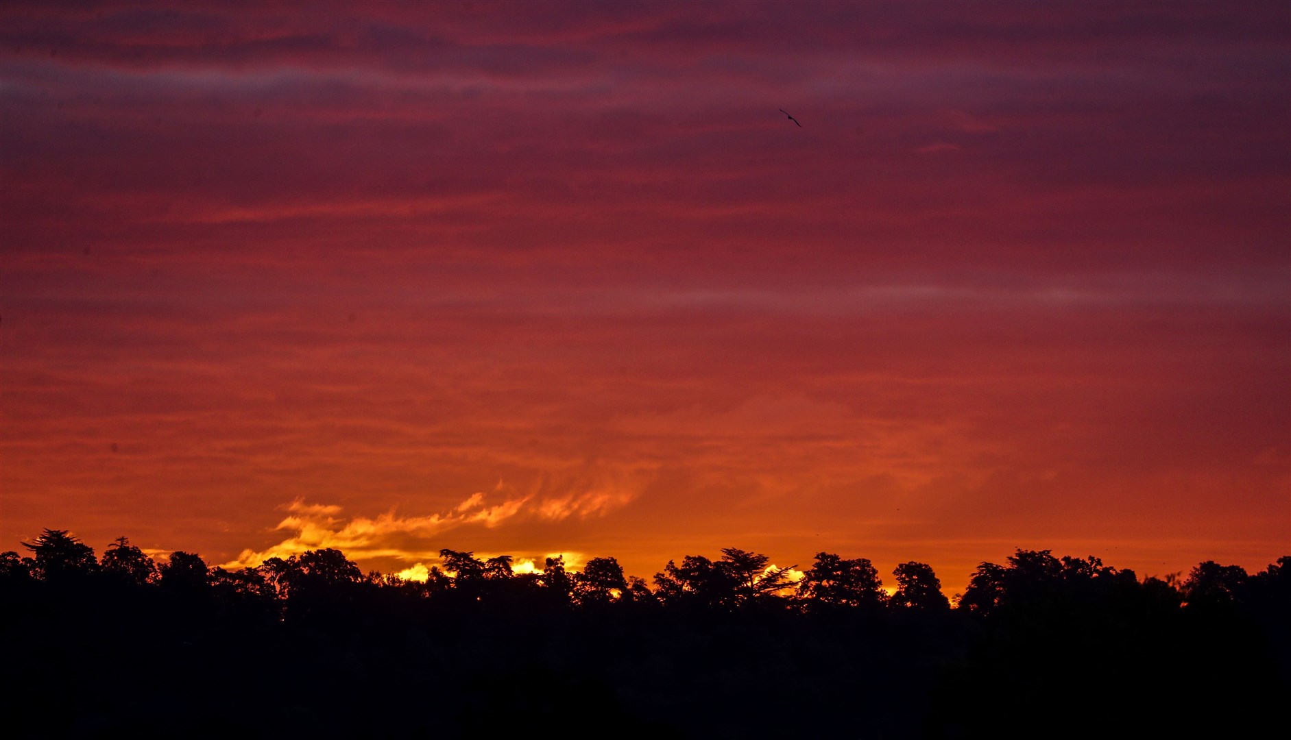 The sky is a picture as the sun rises in Berkshire (Steve Parsons/PA)